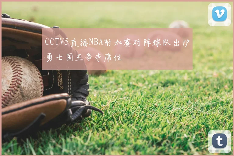 CCTV5直播NBA附加赛对阵球队出炉勇士国王争夺席位
