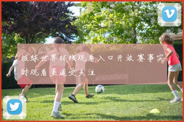 板球世界杯线观看入口开放 赛事实时观看渠道受关注