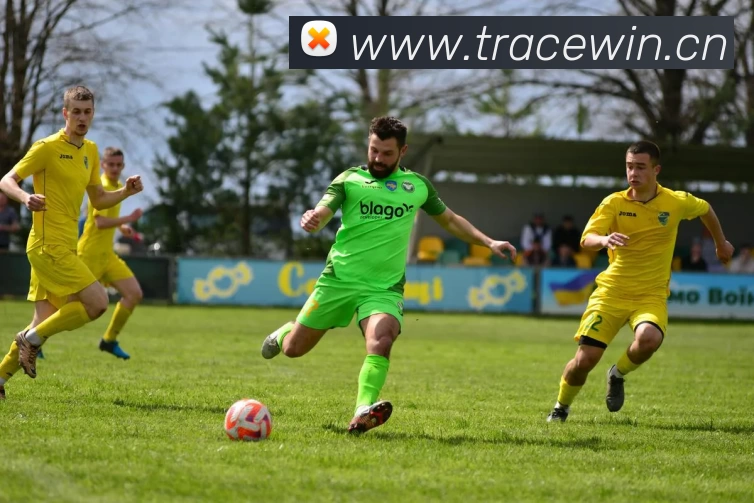 多媒体互动体验